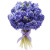 Букет из 25 синих гиацинтов