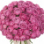 Букет из 51 пионовидной розы