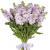 Букет из 19 сиреневых маттиол