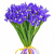 Букет из 19 ирисов