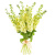 Букет из 9 желтых маттиол