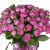 Букет из 17 кустовых роз Мисти Бабблс
